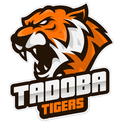 Tadoba Tigers