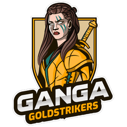 raiding team image