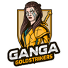 raiding team logo