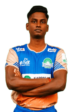Parthasarathi Palanivel