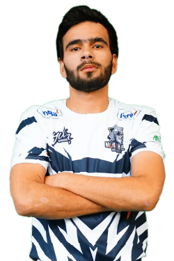 Ankit Dhull