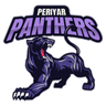 raiding team logo