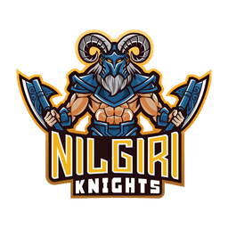 raiding team image