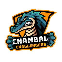 raiding team image