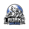 defending team logo
