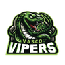 raiding team logo