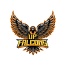 defending team logo