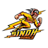 defending team logo