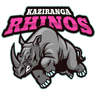 raiding team logo