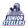 raiding team logo