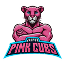 Jaipur Pink Cubs
