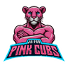 raiding team logo