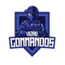 defending team logo