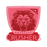 raiding team logo