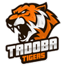 defending team logo